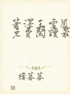 萧泽王雪凤小说免费阅读最新章节封面