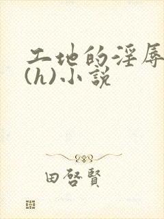 工地的淫辱日记(h)小说封面