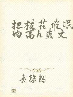 把校花催眠了纯肉高h爽文封面