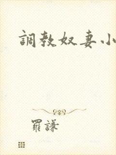 调教奴妻小说h封面