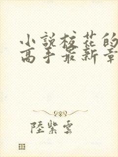 小说校花的贴身高手最新章节阅续