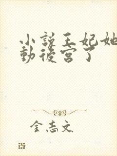 小说王妃她又轰动后宫了封面