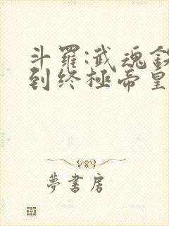 斗罗:武魂铁块到终极帝皇铠甲