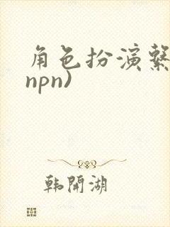 角色扮演系统(npn)