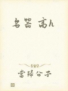 名器 高h