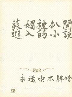 苏媚被扒开双腿进入的小说封面