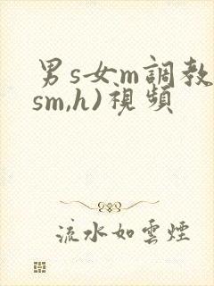 男s女m调教(sm,h)视频