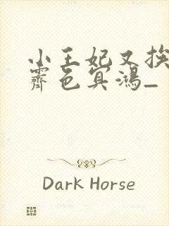 小王妃又挨揍了霁色冥鸿_