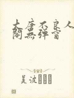 大唐不良人笔趣阁无弹窗封面