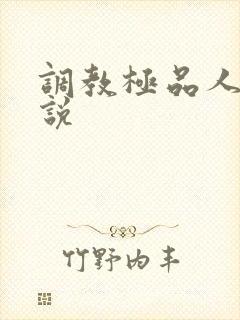 调教极品人妻小说
