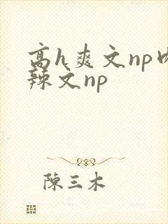 高h爽文np肉辣文np封面