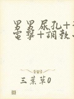 男男尿孔+灌+电击+调教小说