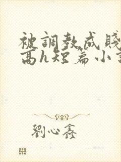 被调教成贱奴的高h短篇小说推荐