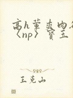 高h荤爽肉欲文〈np〉宝玉