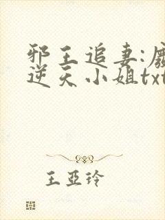 邪王追妻:废材逆天小姐txt下载