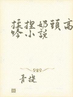 揉捏奶头高潮呻吟小说