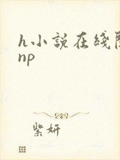 h小说在线阅读np