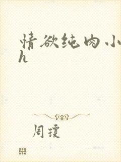 情欲纯肉小说高h