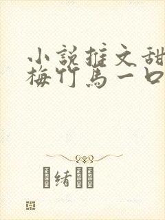 小说推文甜文青梅竹马一口气看完封面
