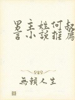 男主姓何叔嫂古言小说推荐