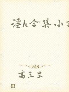 淫h合集小说封面