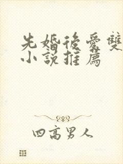 先婚后爱双男主小说推荐封面