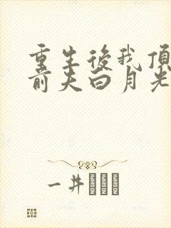 重生后我顶替了前夫白月光原著作者封面