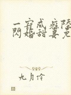 一宠成瘾陆少的闪婚甜妻免费阅读