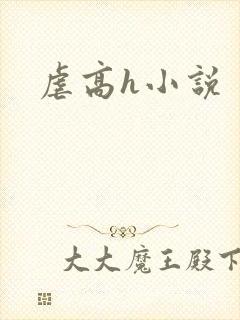虐高h小说