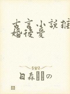 古言小说推荐先婚后爱