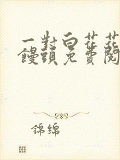 一对白花花的大馒头免费阅读封面