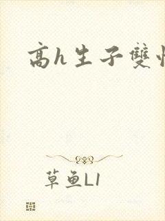高h生子双性