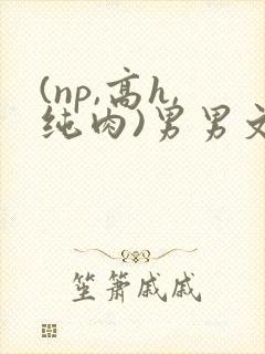 (np,高h,纯肉)男男文