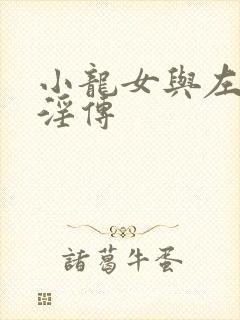 小龙女与左剑清淫传
