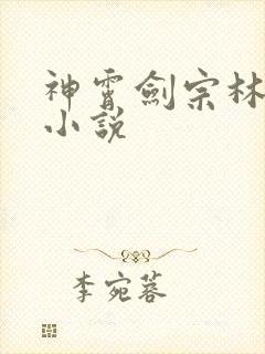 神霄剑宗林枫的小说