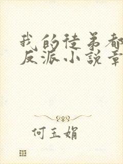 我的徒弟都是大反派小说章节目录