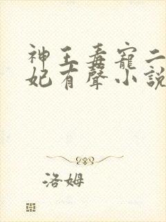 神王毒宠二嫁王妃有声小说
