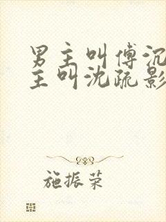 男主叫傅沉舟女主叫沈疏影的小说