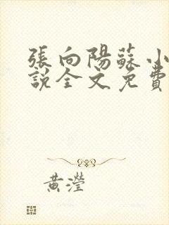 张向阳苏小棠小说全文免费阅读笔趣阁