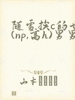 随处挨c的世界(np,高h)男男主攻