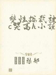 双性总裁被警察c哭高h小说