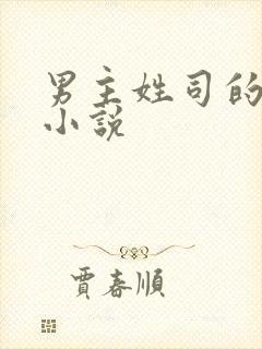 男主姓司的现代小说封面