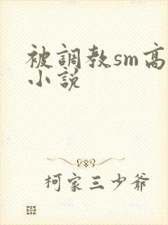 被调教sm高h小说
