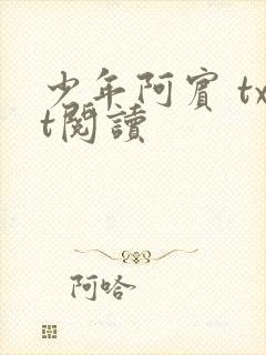 少年阿宾 txt阅读