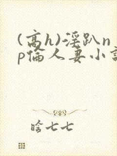 (高h)淫趴np伦人妻小说