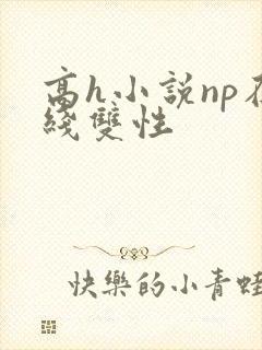 高h小说np在线双性