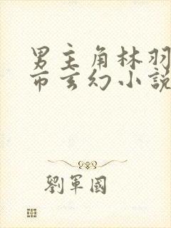 男主角林羽的都市玄幻小说