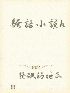 骚话小说h