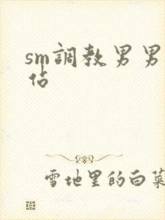sm调教男男网站