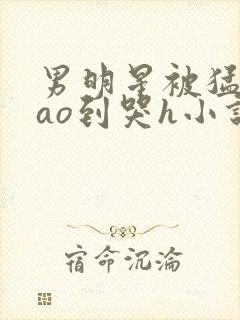 男明星被猛男cao到哭h小说